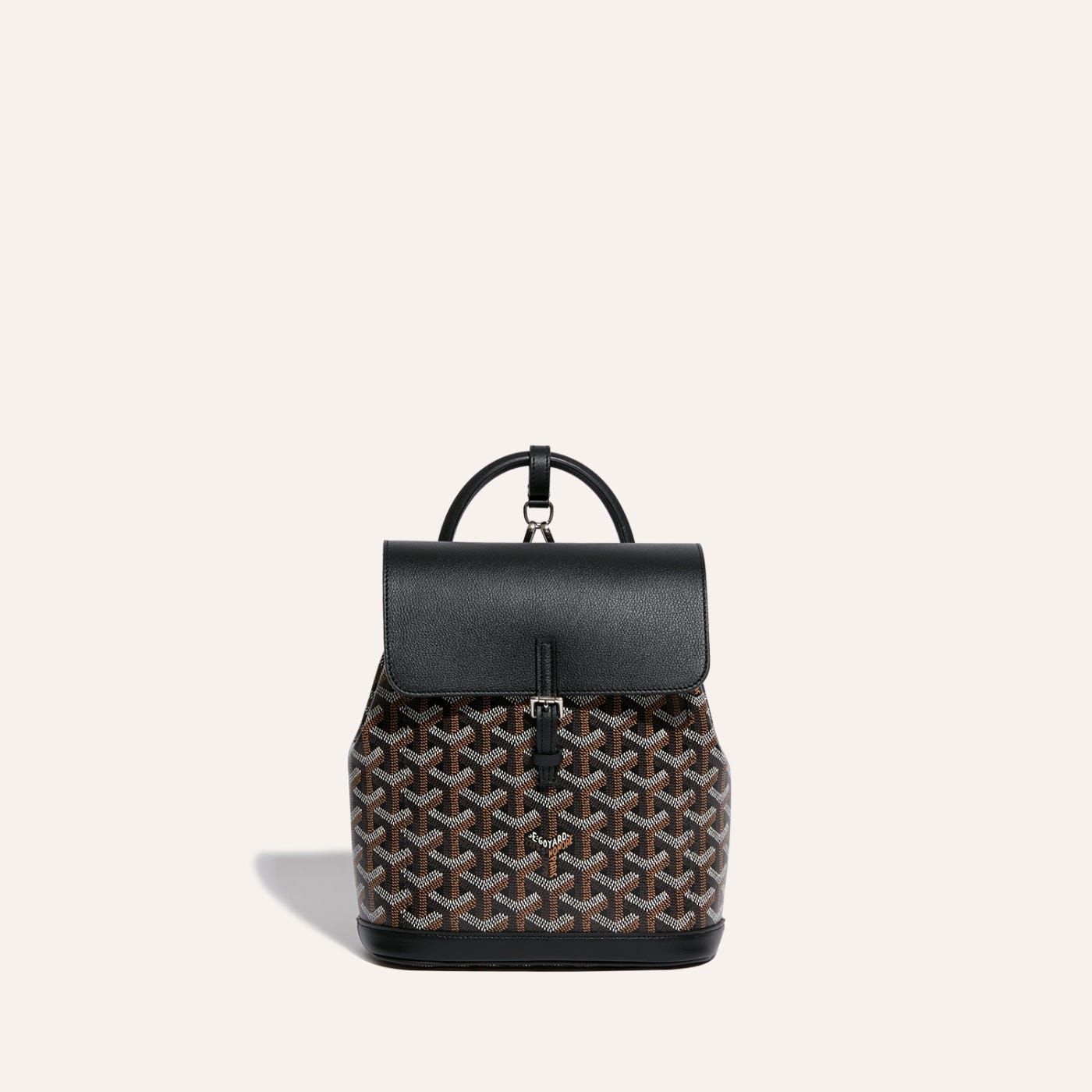 Goyard Alpin Mini Backpack Black - Image 2